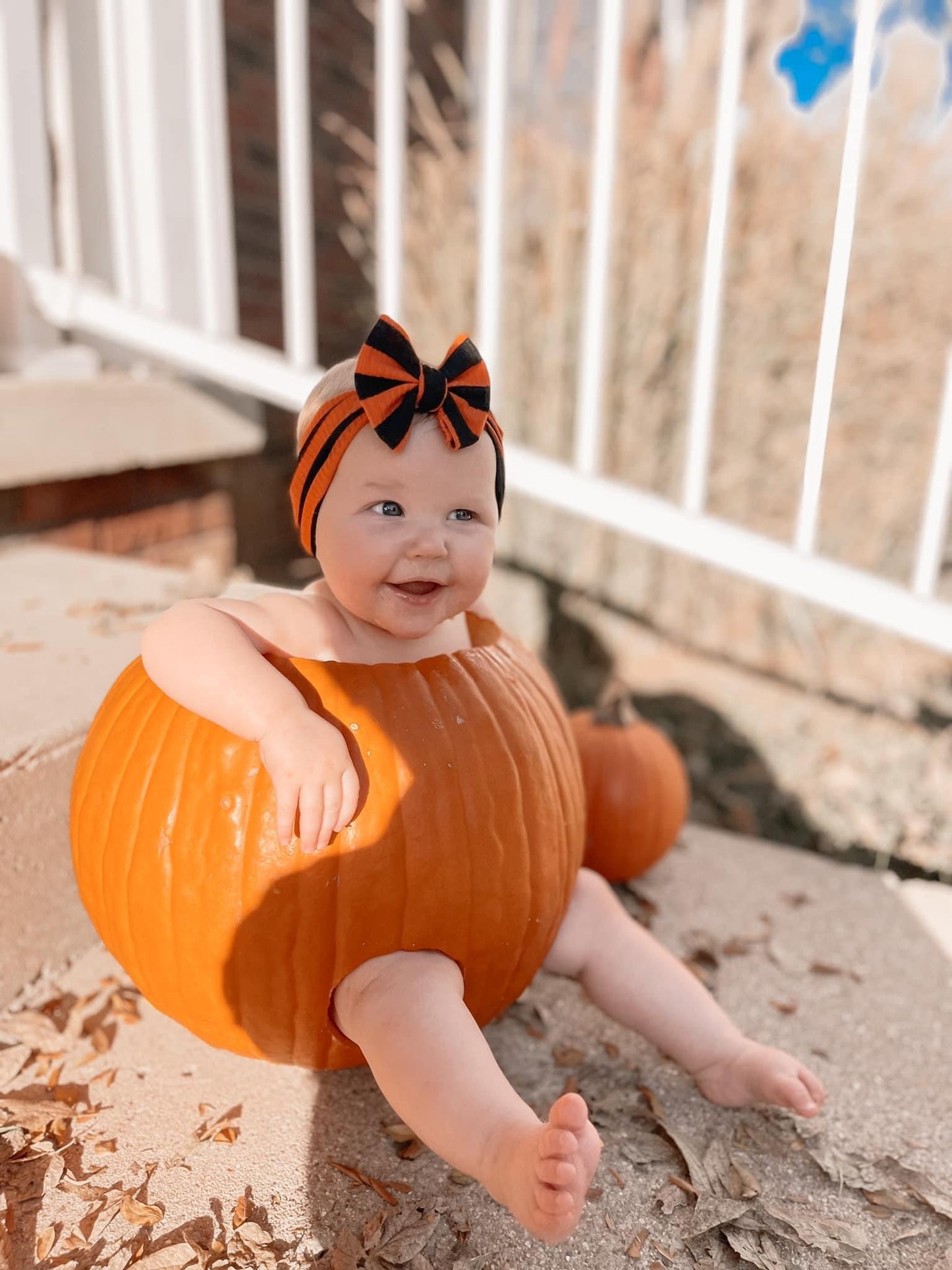 Orange & Black Stripes