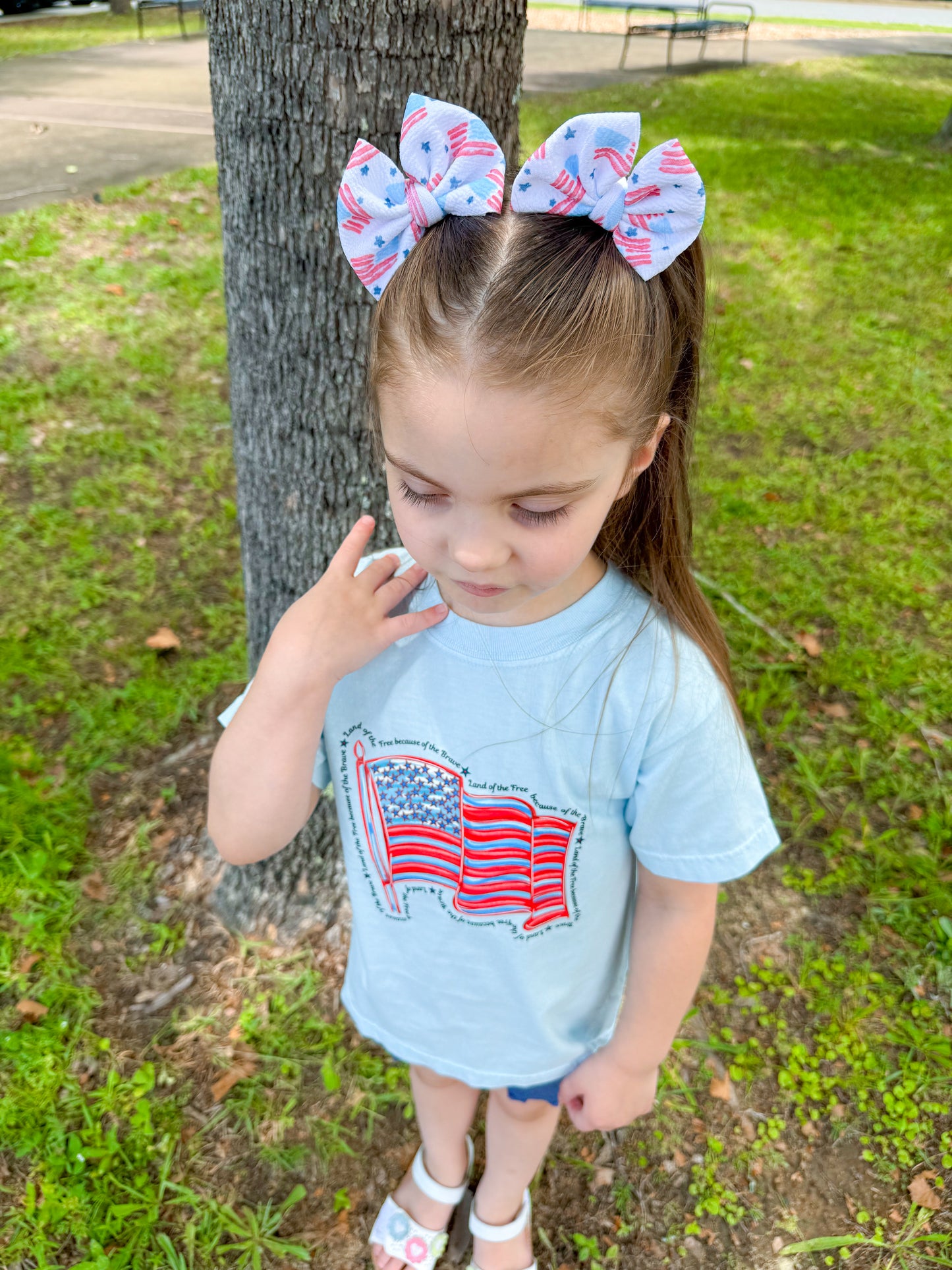 Pastel Patriot